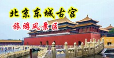 老女人BBW大全中国北京-东城古宫旅游风景区